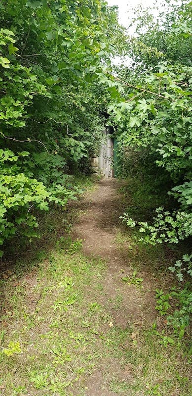 Blackburn Meadows - Nature Reserves in rotherham