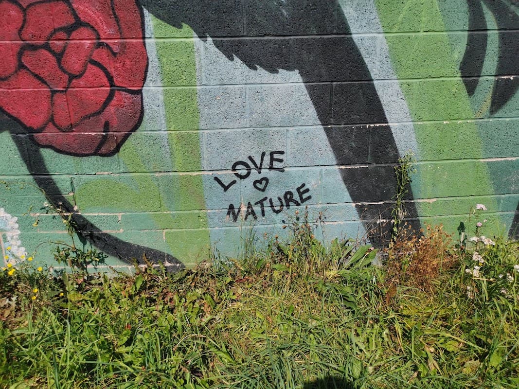 Blackburn medows - Gallery in rotherham