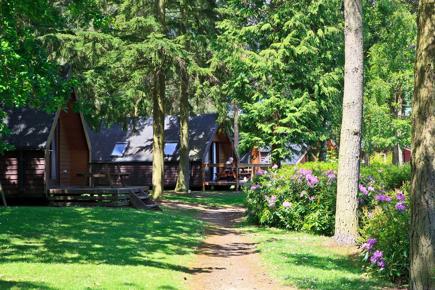 Rudding Holiday Park - Campsite in follifoot