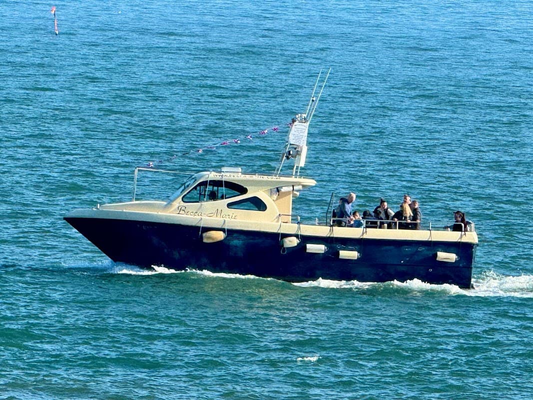 Becca-marie Sealife Safari - Attraction in scarborough