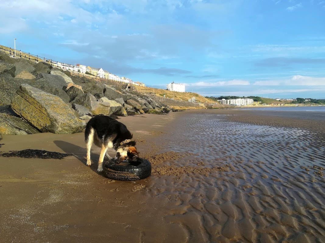 NSG North Street Garage Ltd - Garages in scarborough