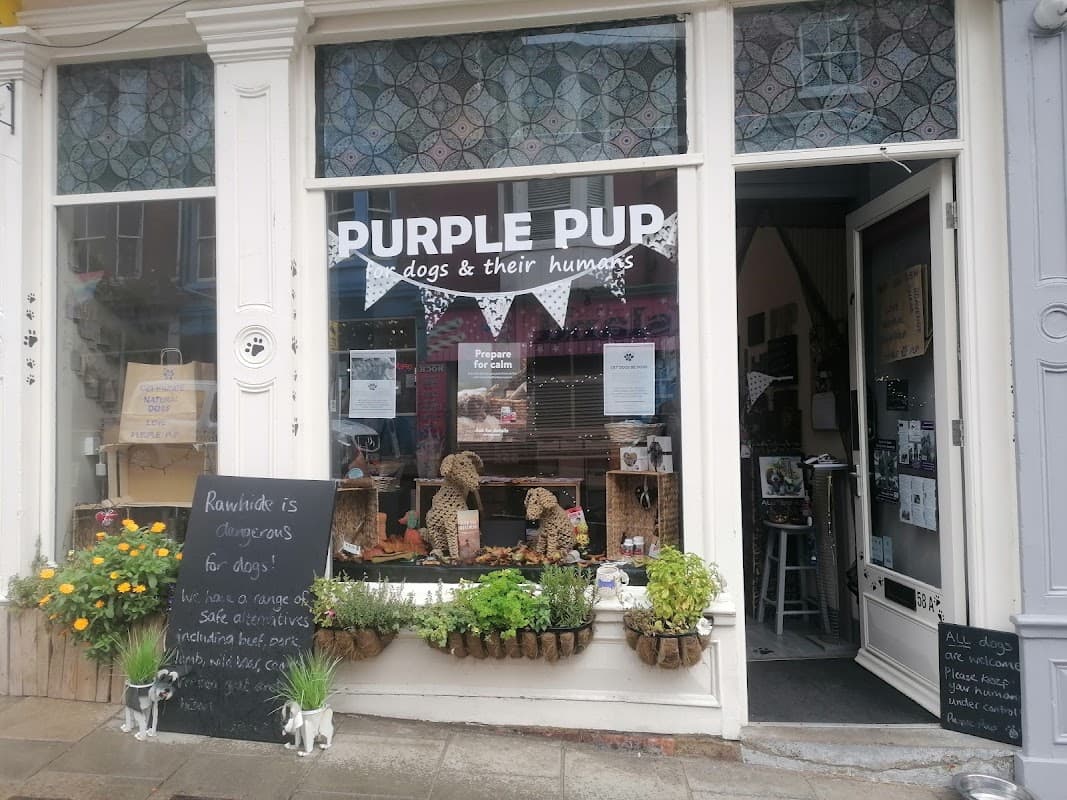 Purple Pup for dogs and their humans (Yorkshire's first canine enrichment shop) - Pet Shops in scarborough