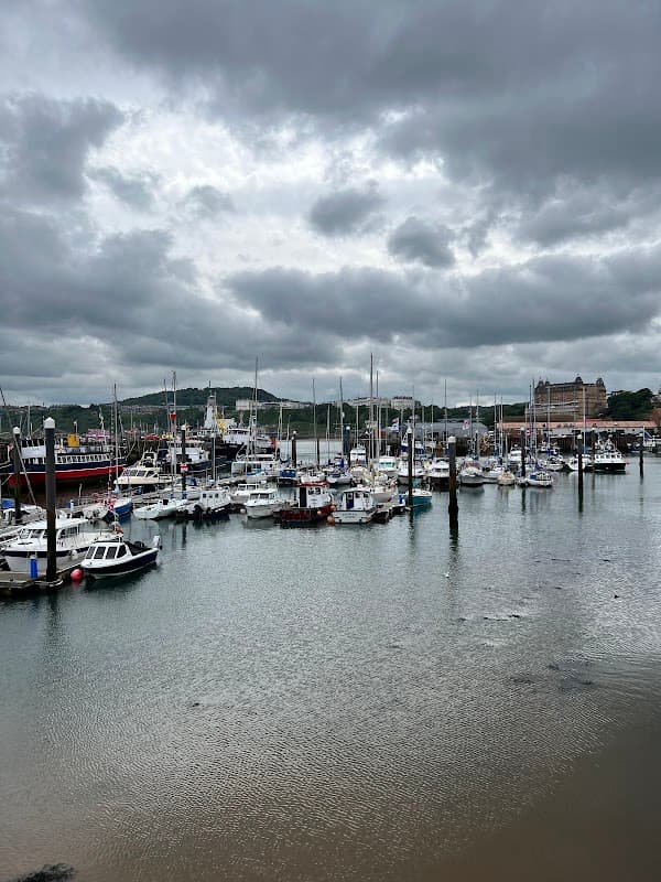 Harbor filled with boats and yachts under a cloudy sky, with buildings and hills in the background.