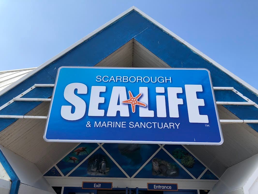 SEA LIFE Scarborough - Aquariums in scarborough