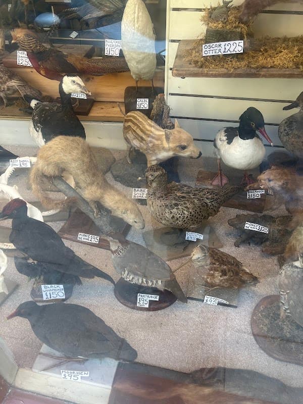 The Captain's House - Gallery in scarborough