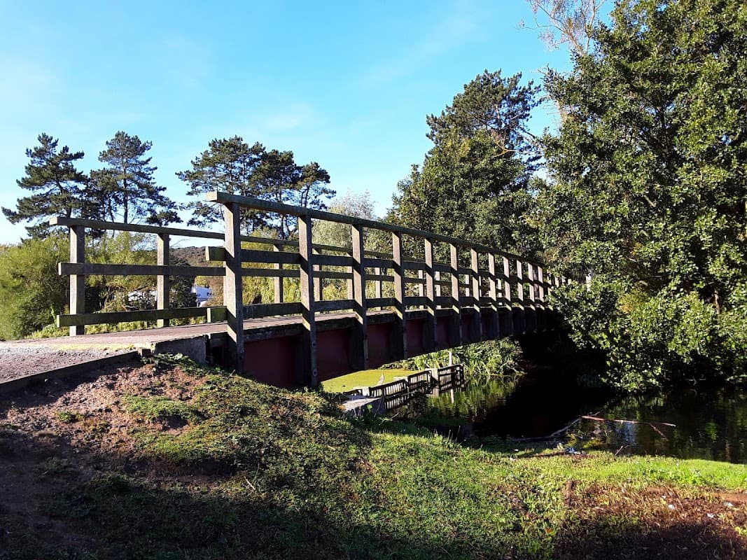 Wooden footbridge over a stream, surrounded by trees and grassy areas under a clear blue sky.