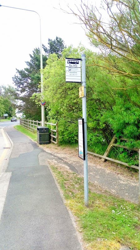 Bus stop sign at Seamer Station with greenery and a pathway nearby, surrounded by trees and a fence.