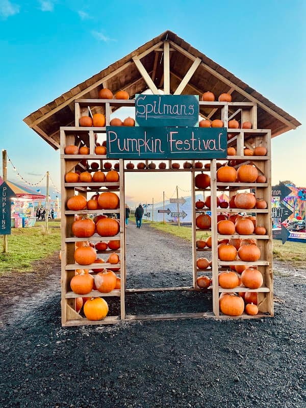 Wooden archway filled with pumpkins, leading to Spilman's Pumpkin Festival at a farm in Sessay, Yorkshire.
