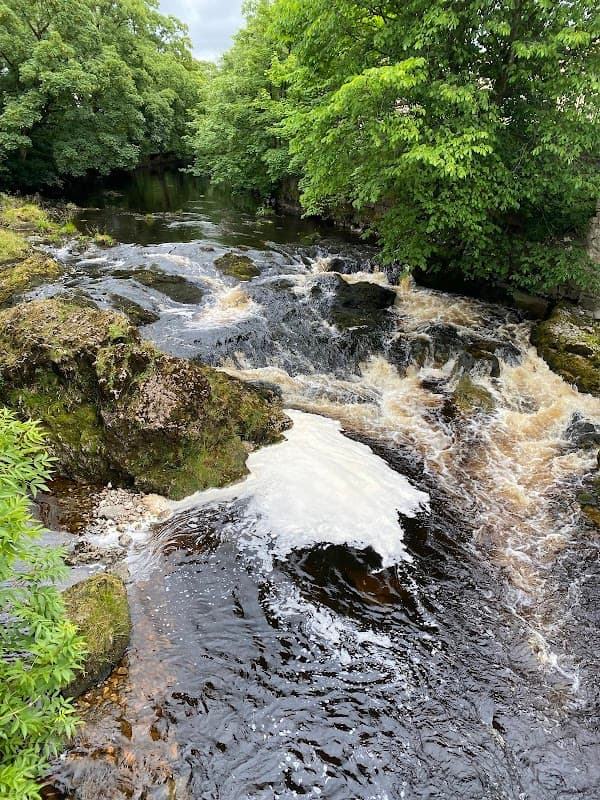 Rushing river water flows over rocks, surrounded by lush green trees in a serene natural setting.