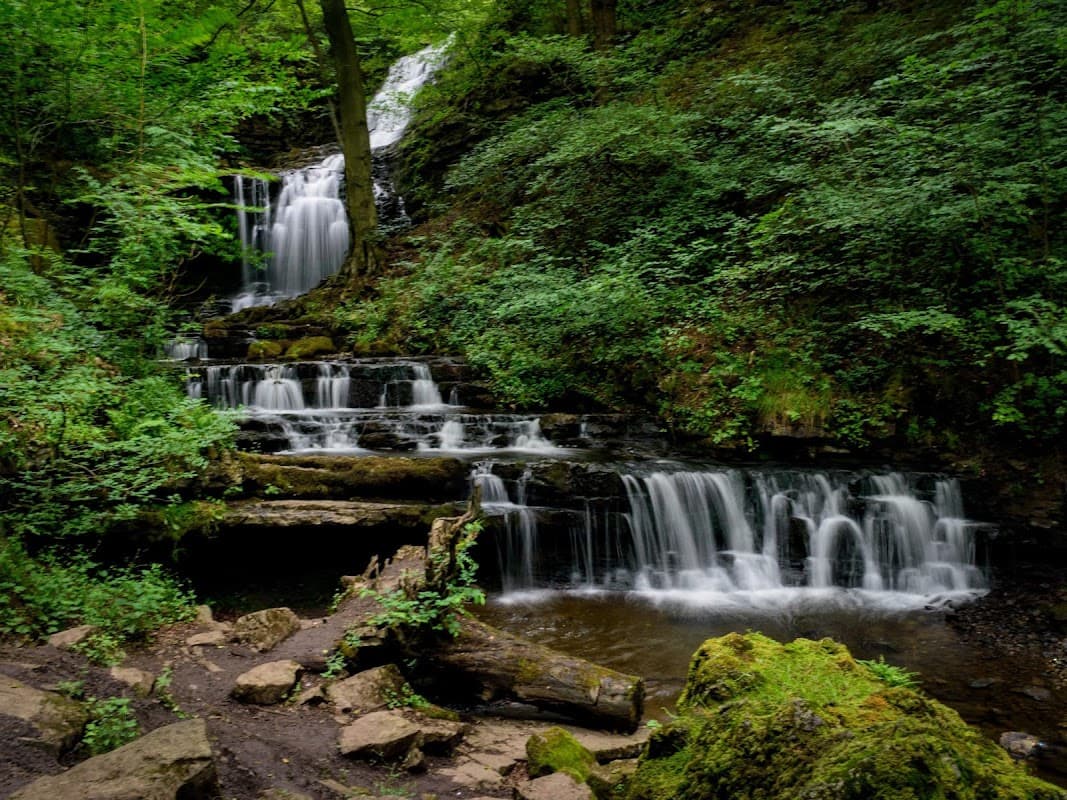 Flowing waterfall cascades over rocky steps, surrounded by lush greenery and trees in a tranquil woodland setting.