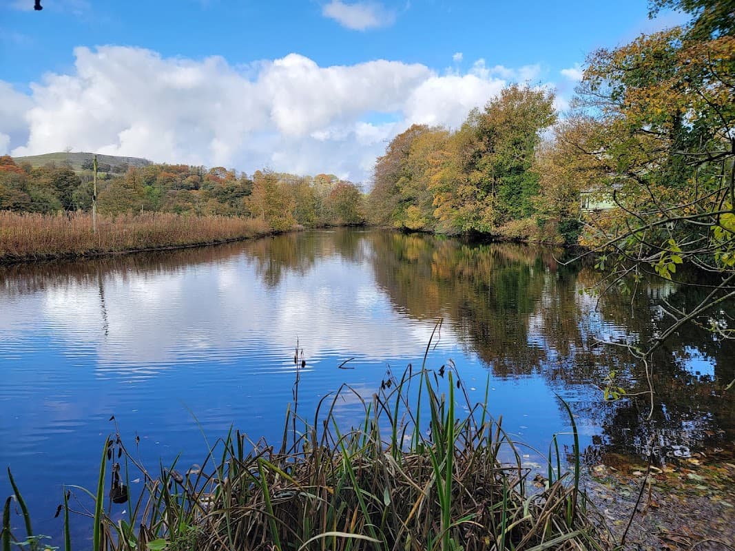 Serene river scene in Settle, Yorkshire, with autumn trees reflecting on calm water under a blue sky.