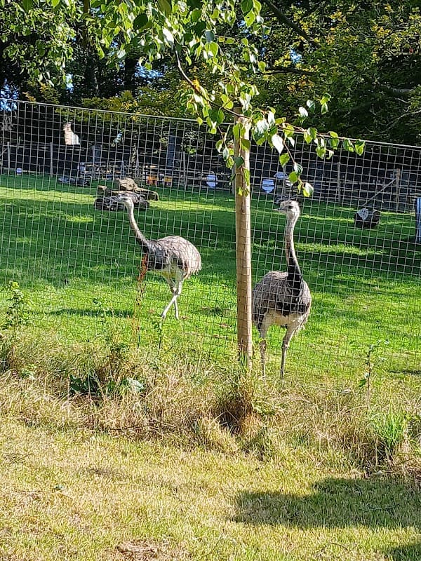 Graves park petting zoo - Zoos in sheffield
