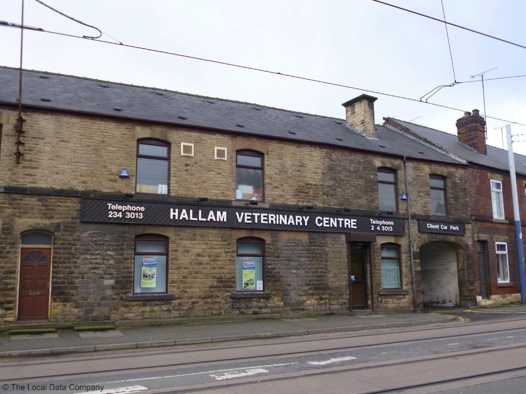 Hallam Veterinary Centre - Vets in sheffield