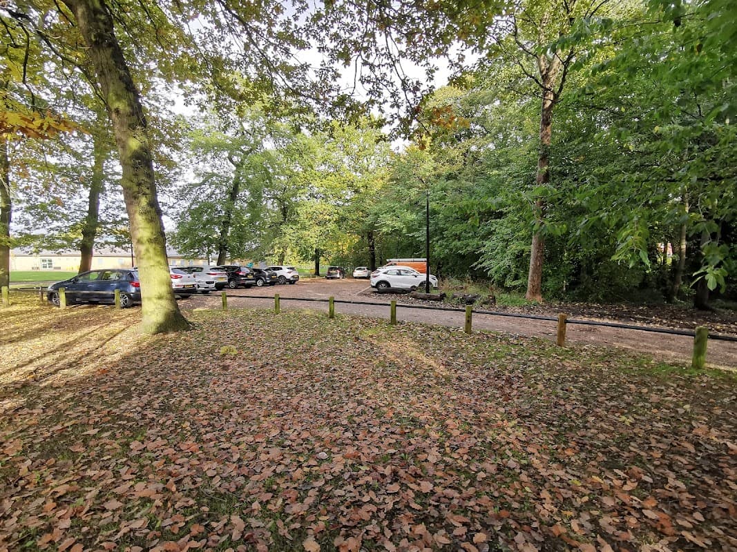 Car park surrounded by trees, with parked cars visible and fallen leaves covering the ground.