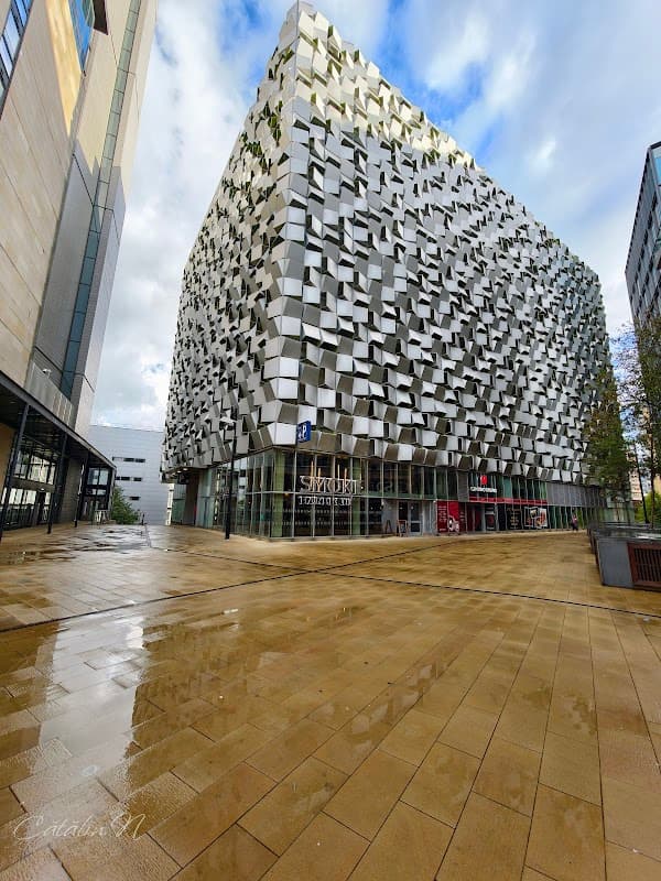 Modern architectural building with a textured facade, surrounded by wet pavement and a cloudy sky in Sheffield.