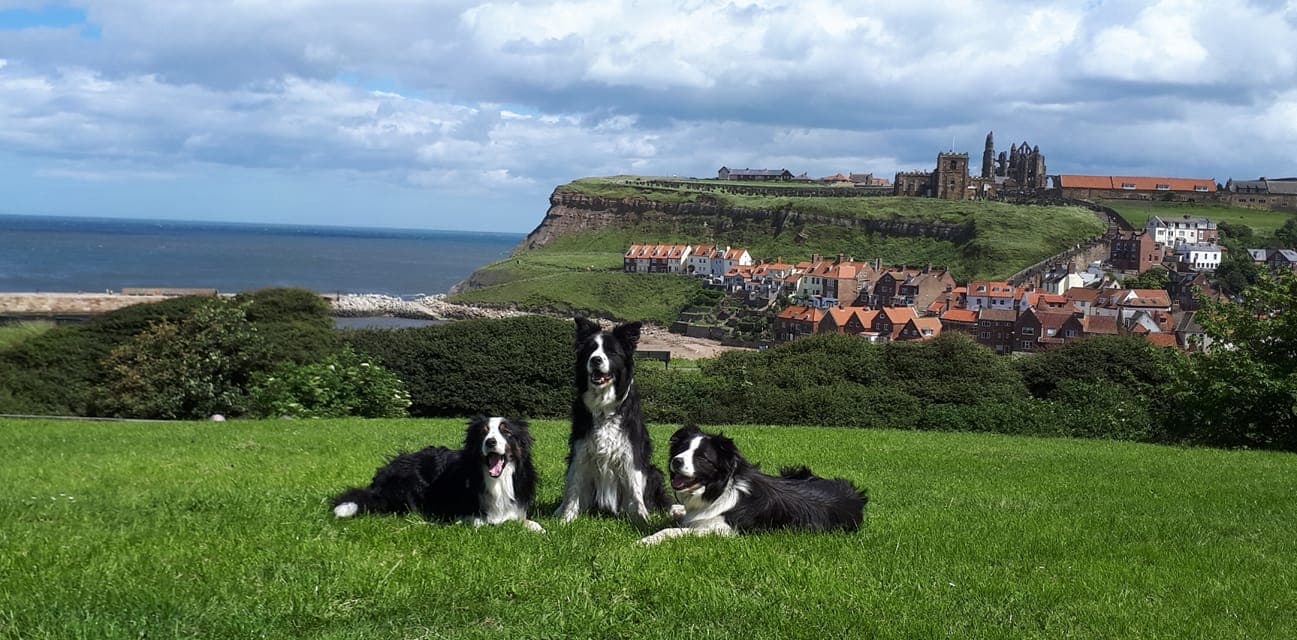 Baildon Veterinary Centre - Vets in shipley