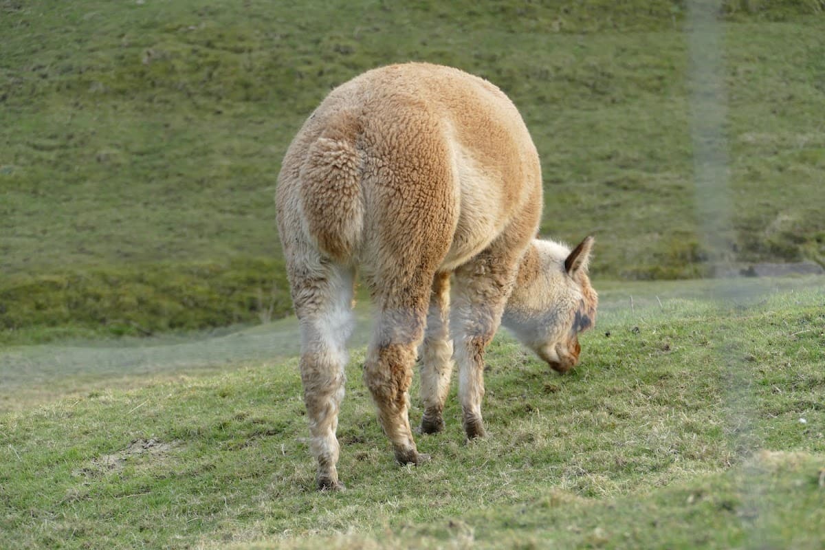 Accommodation at Overdale Trailer Park Ltd in skipton