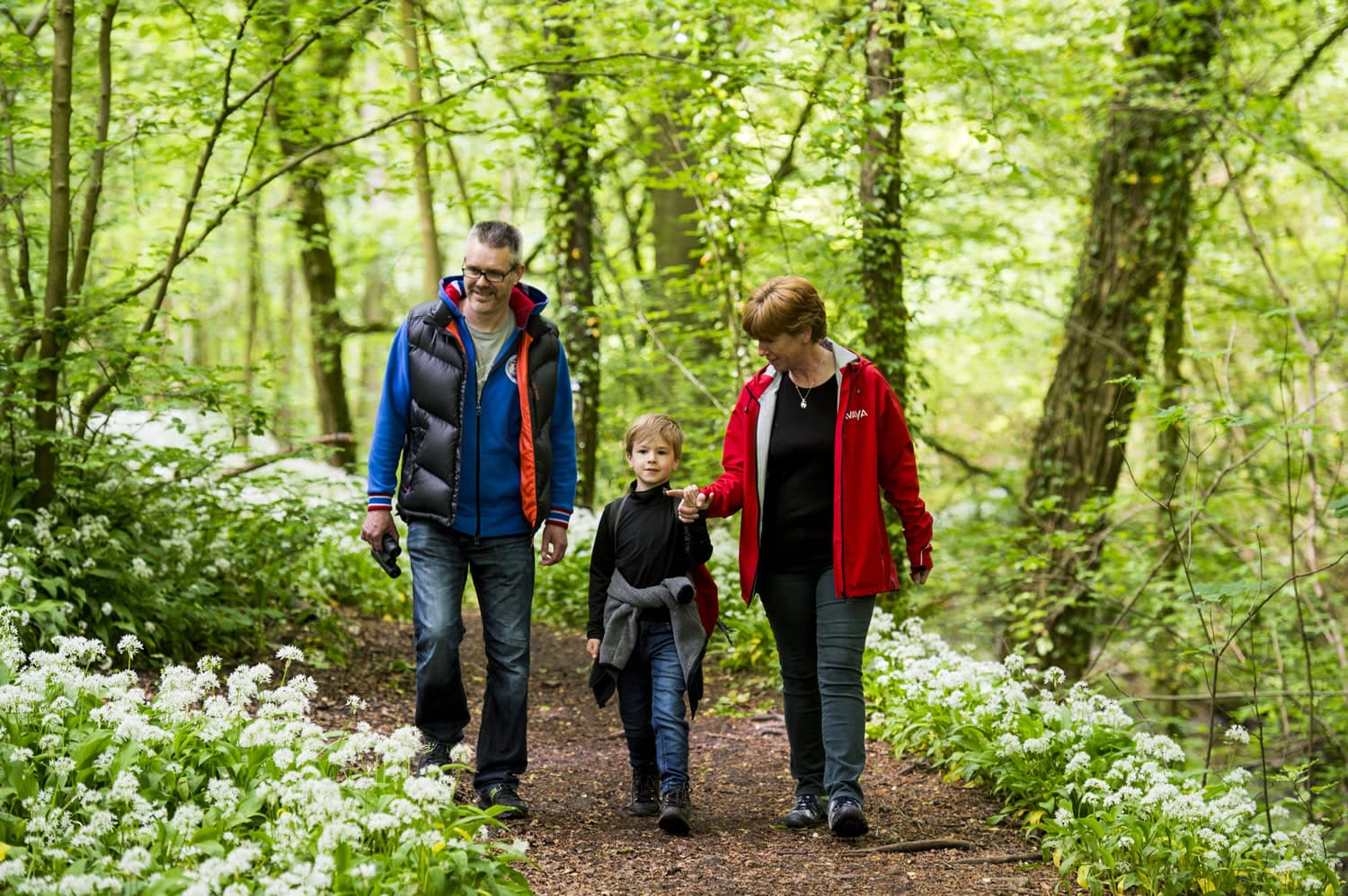 Skipton Castle Woods - Woodland Trust - Garden in yorkshire