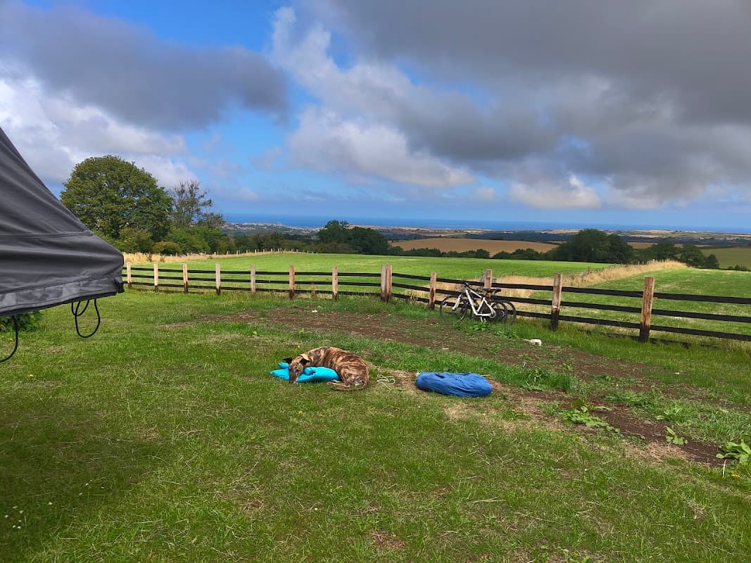 A dog resting on a blue mat in a grassy area with a wooden fence and rolling hills under a partly cloudy sky.