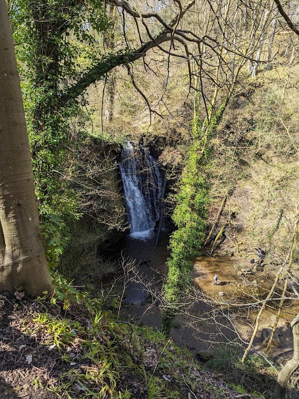 A serene waterfall cascades down rocky terrain, surrounded by lush greenery and trees in a tranquil natural setting.