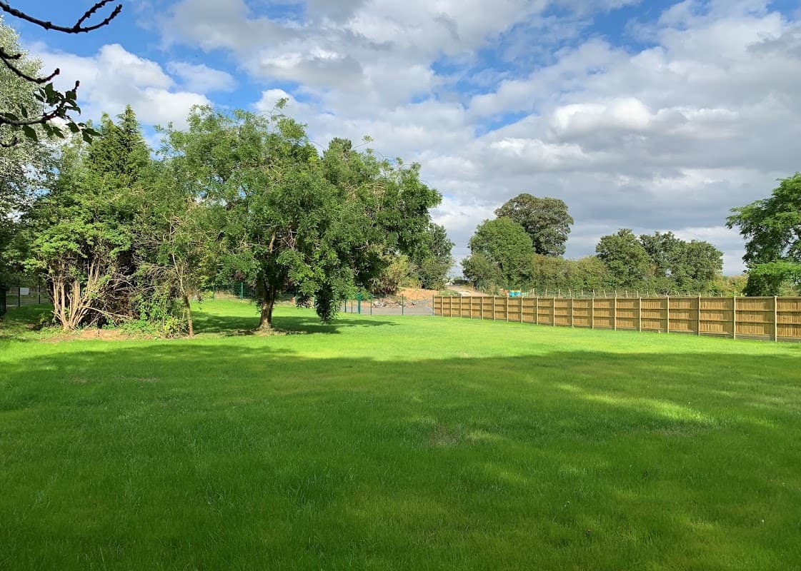 Lush green grass and trees in a spacious dog park, surrounded by a wooden fence under a partly cloudy sky.
