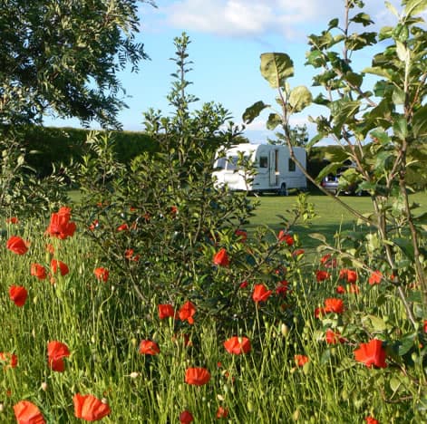 Accommodation at South Newlands Farm Cottages in riccall