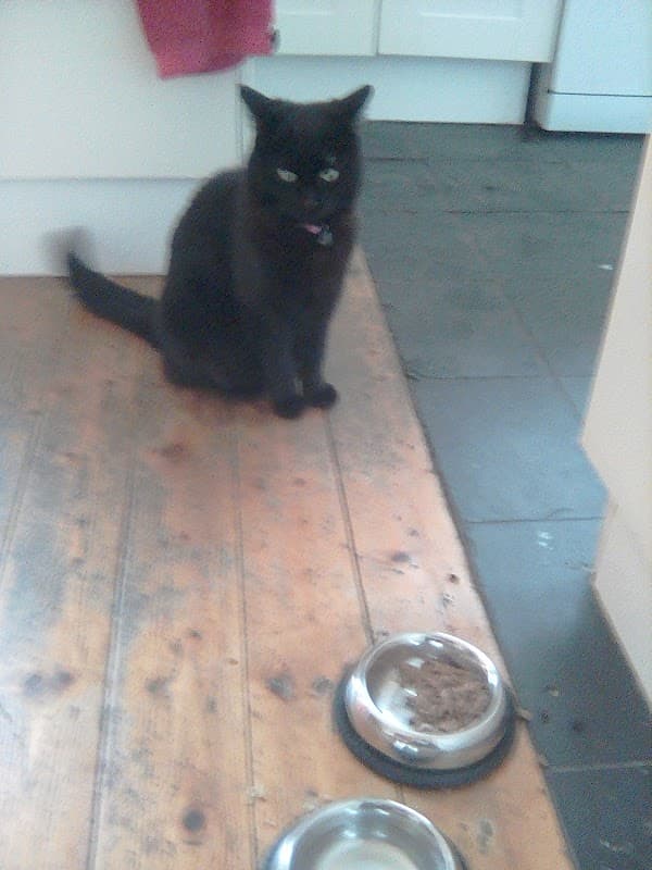 Bus Stop at Fore Lane Avenue - Bus Stops in sowerby bridge