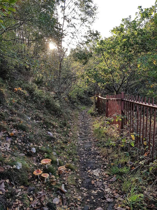 Milner Royd Nature Park - Park in sowerby bridge