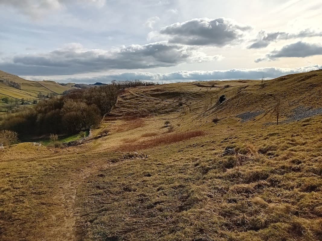 Rolling hills with sparse trees, grassy slopes, and a cloudy sky in Giggleswick Scar, North Yorkshire.