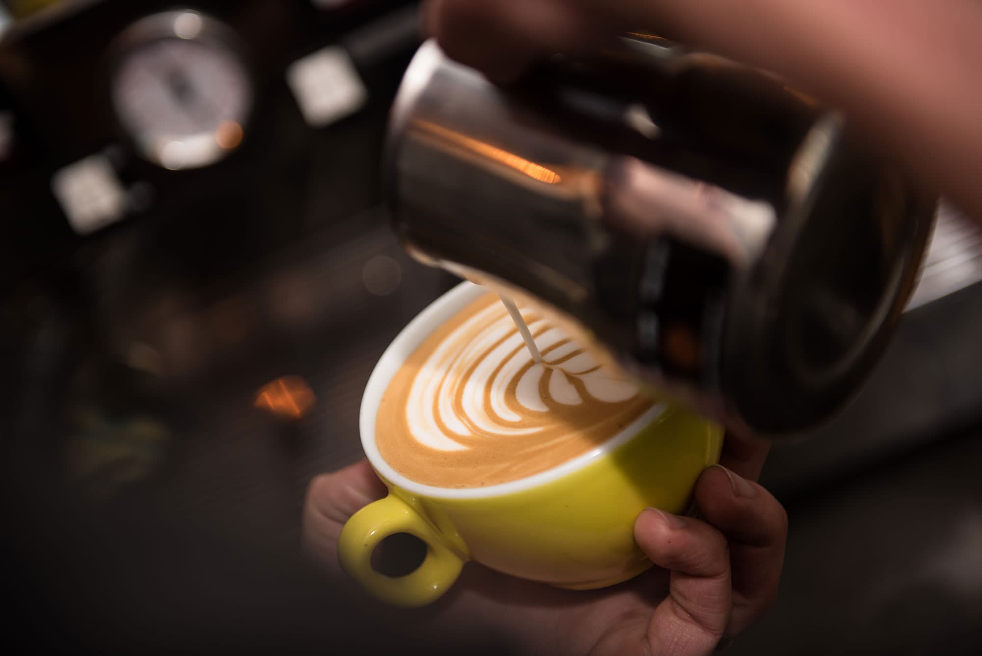 Cafe Starling Independant Beer & Coffee House in harrogate