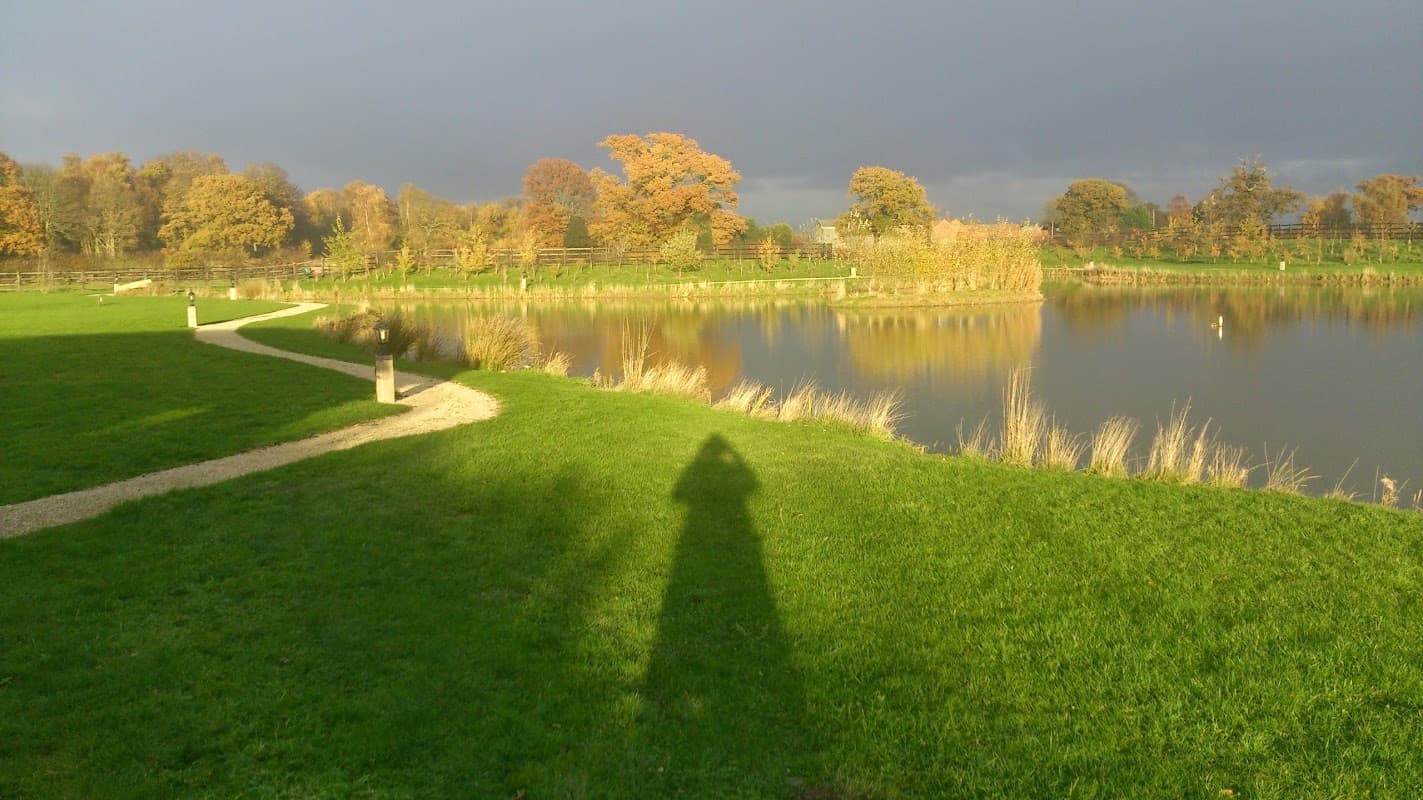 A scenic view of a pond surrounded by green grass and trees, with a shadow cast on the ground.