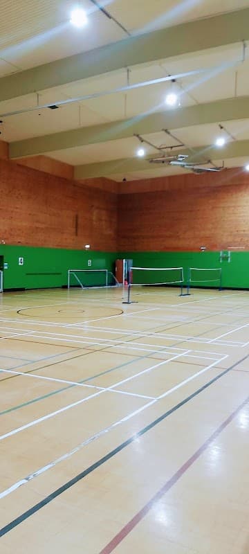 Indoor sports hall with wooden walls, green accents, and badminton nets set up on a wooden floor.