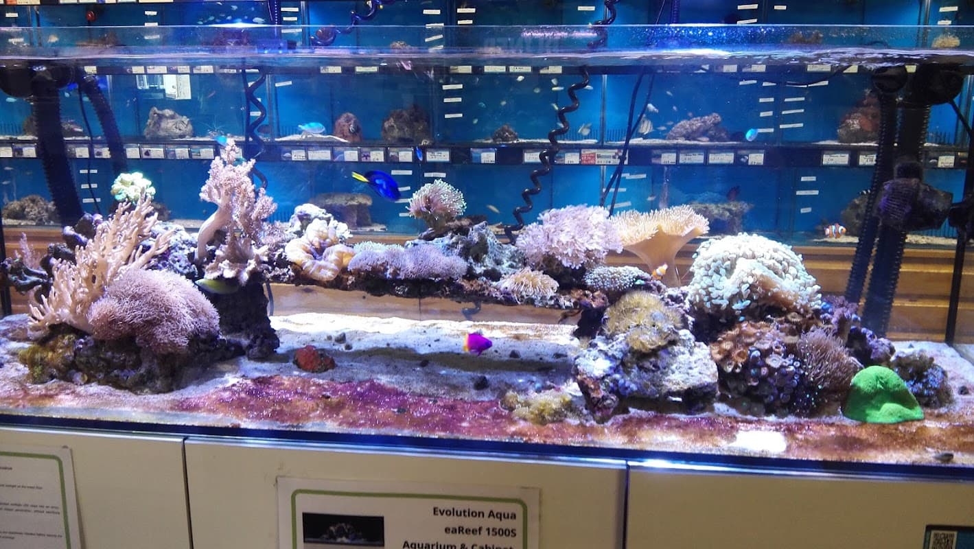 Maidenhead Aquatics Stokesley - Pet Shops in stokesley