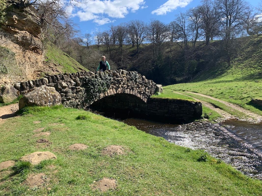 A stone bridge over a stream in a green valley, with trees and blue skies in the background. A person stands on the bridge.