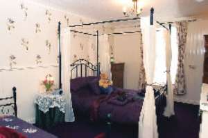 Accommodation at Sunflower Lodge in flamborough