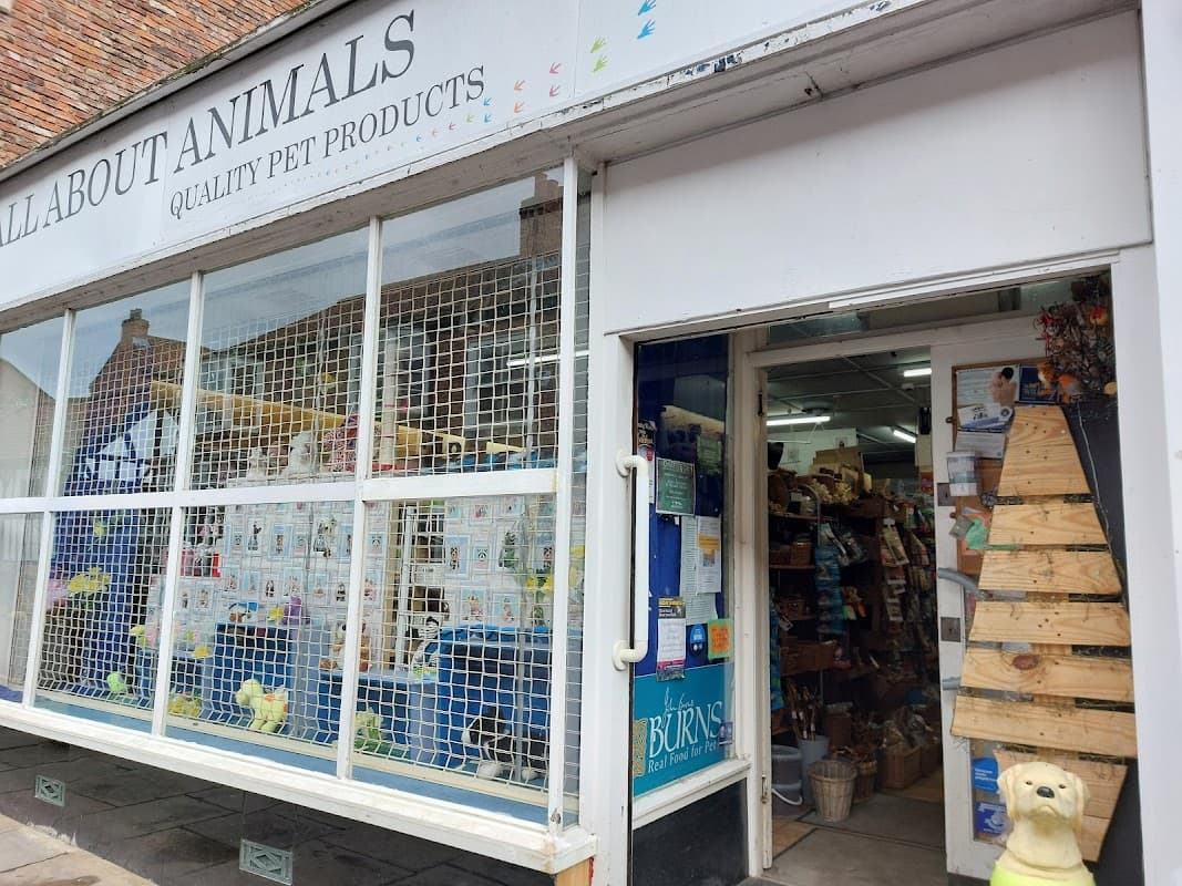 Pet shop exterior with a sign, display of pet products, and a wooden display stand outside the entrance.