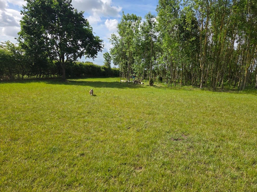 CookiesPark4Dogs - Park in temple hirst