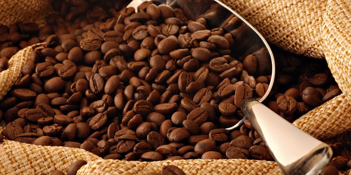 Cafe The Curious Table in easingwold