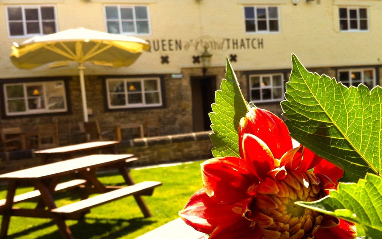 Pub The Queen o’ t’ owd Thatch in south milford