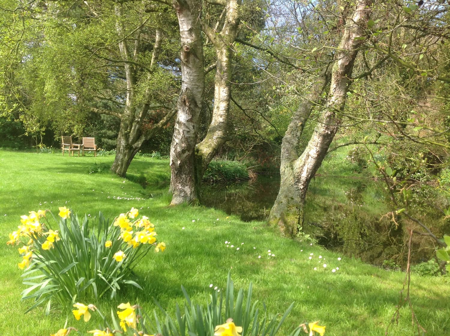 Accommodation at Thirley Banks Cottages in harwood dale