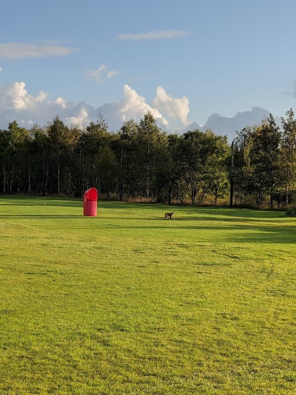 American Golf - Ingleby Barwick - Sports Shops in thornaby