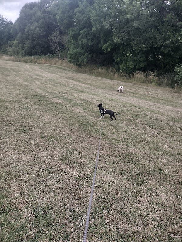 Bluebell Beck Playground - Playgrounds in thornaby