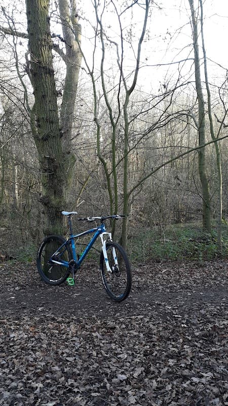 SG Estates - Estate Agents in thornaby