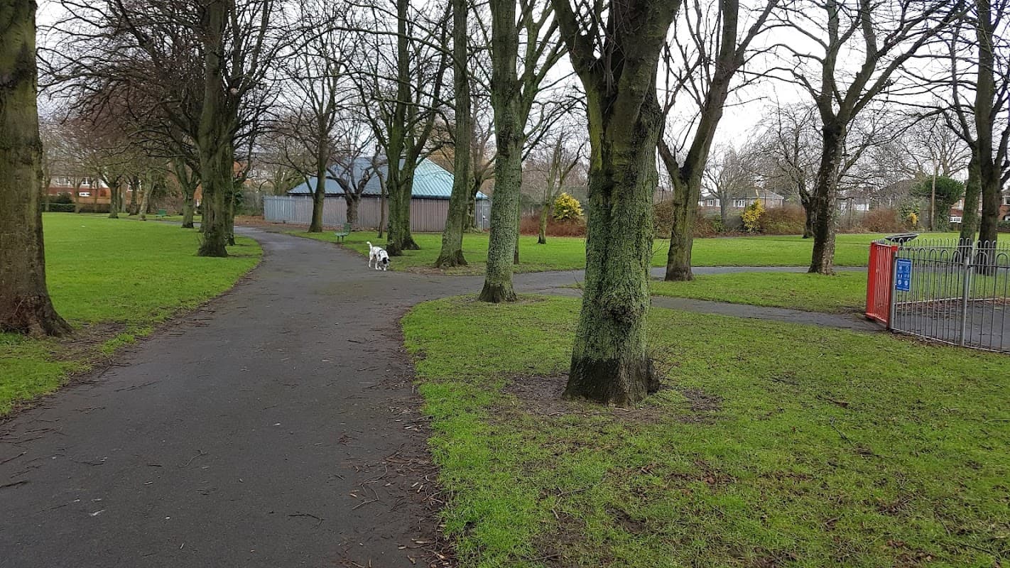 Lush green park with winding paths, bare trees, and a dog walking along the trail near a fenced area.