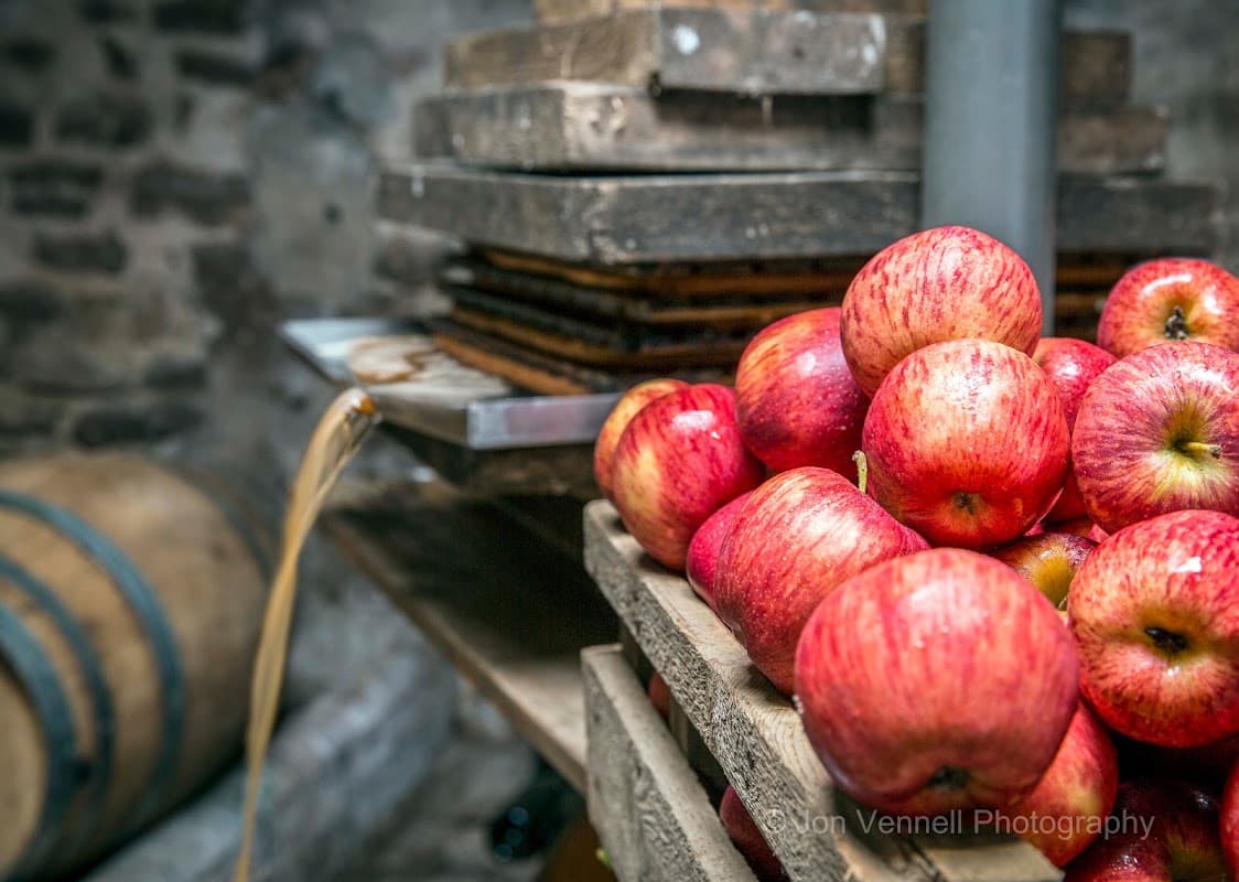Red apples stacked on wooden crates with cider press equipment in a rustic setting.