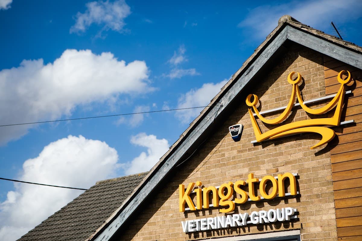 Kingston Veterinary Group - Thorngumbald - Vets in thorngumbald