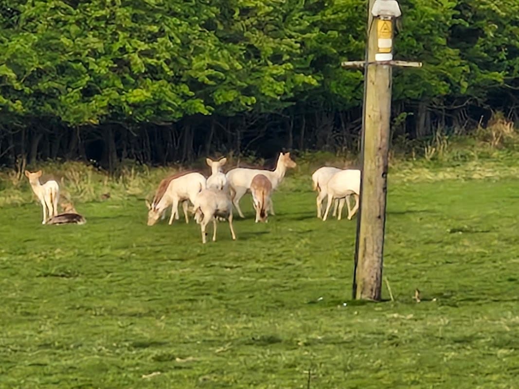 Thorngumbald Parish Council - Car Parks in thorngumbald