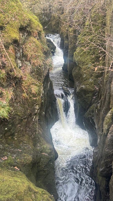 A narrow gorge with rushing water, surrounded by mossy rocks and sparse trees in a scenic, natural setting.