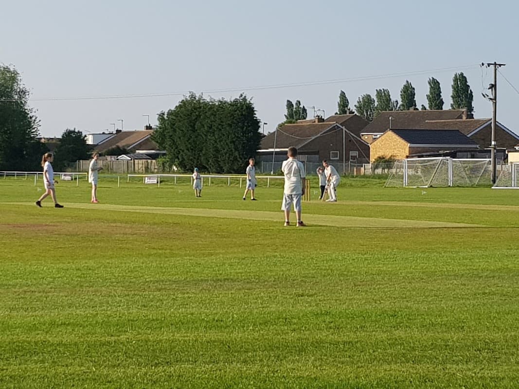 Cricket match in progress on a green field with players in white uniforms and houses in the background.