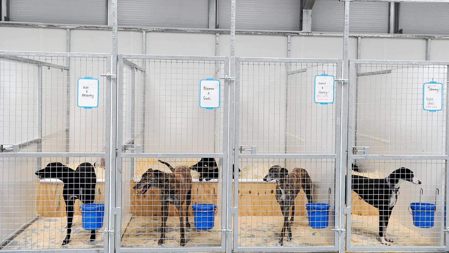 Tia Rescue - Attraction in hatfield